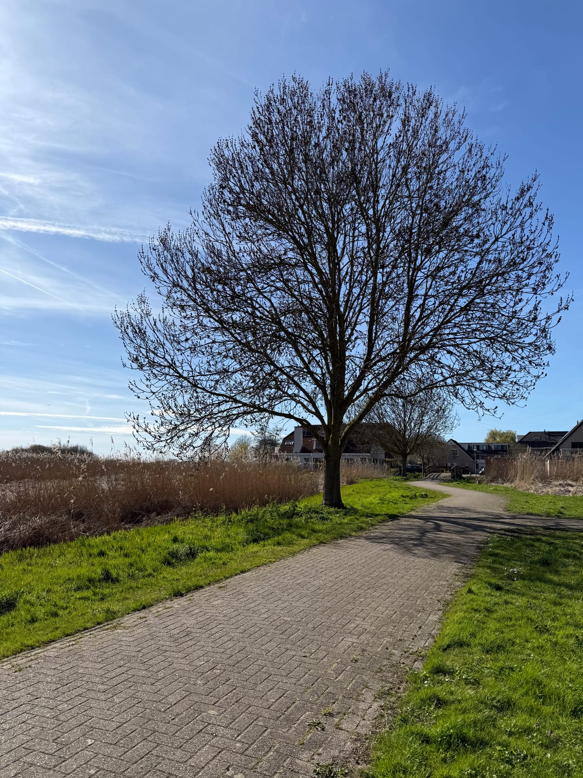 Hello world from my phone!